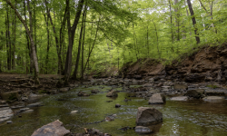 Park History Preservation