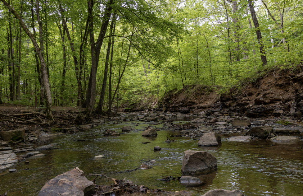 Park History Preservation