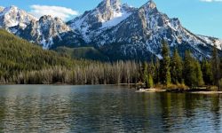 Endangered Public Lands