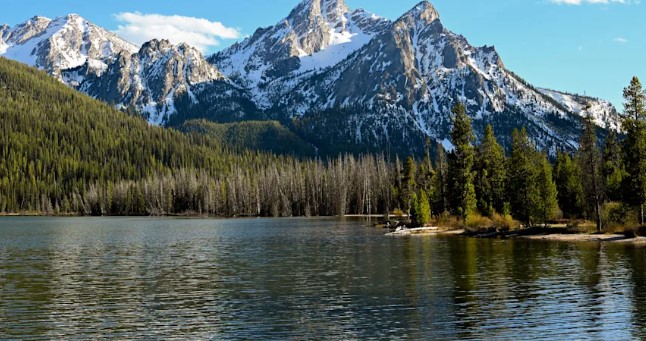 Endangered Public Lands